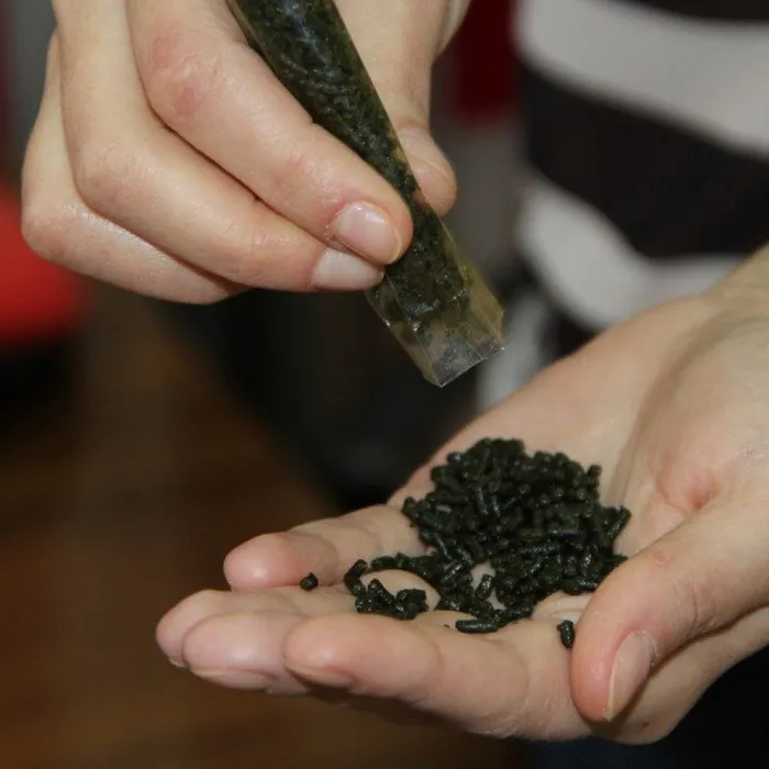 НАСВАЙ: ЗАЧЕМ НАШИМ ДЕТЯМ ПОТРЕБЛЯТЬ КУРИНЫЙ ПОМЕТ?